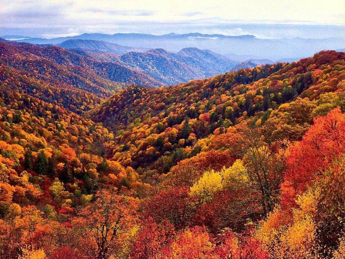 Sky High Views!!-Peak Mountaintop-Outdoor Pool-Close To Downtown-Private Balcony-Wifi-Cable Gatlinburg Eksteriør bilde